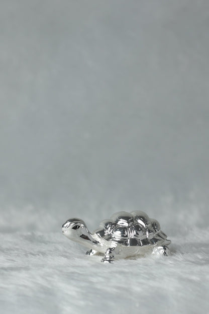 Silver Plated Tortoise|| Tortoise