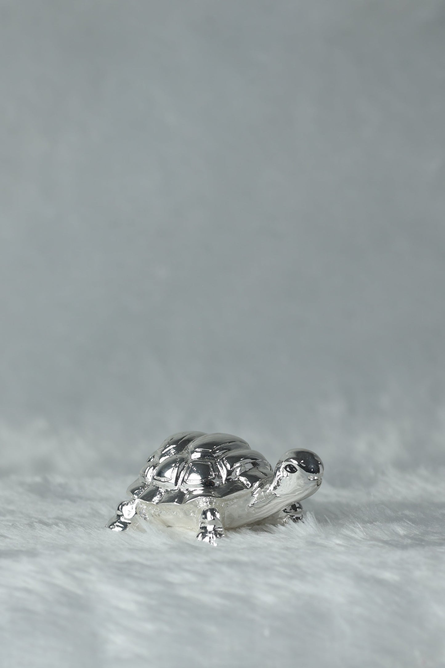 Silver Plated Tortoise|| Tortoise